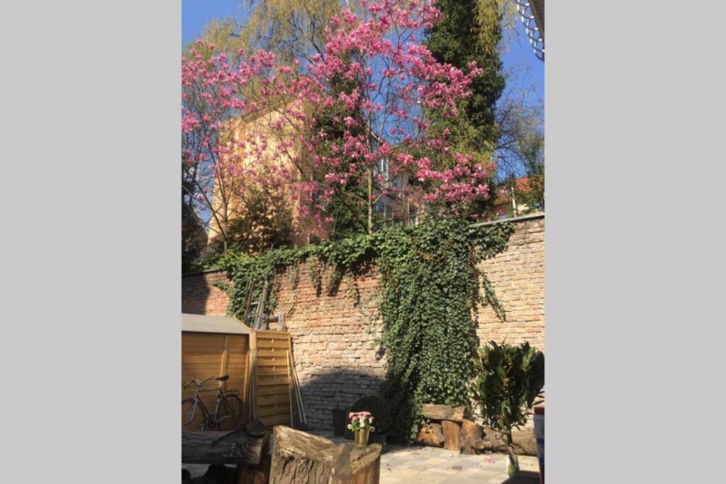 Beautiful Backyard Remise Apartment Berlin Exterior photo